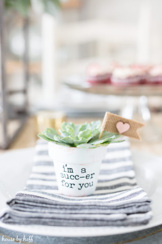 A small potted succulent on the napkin on the table.