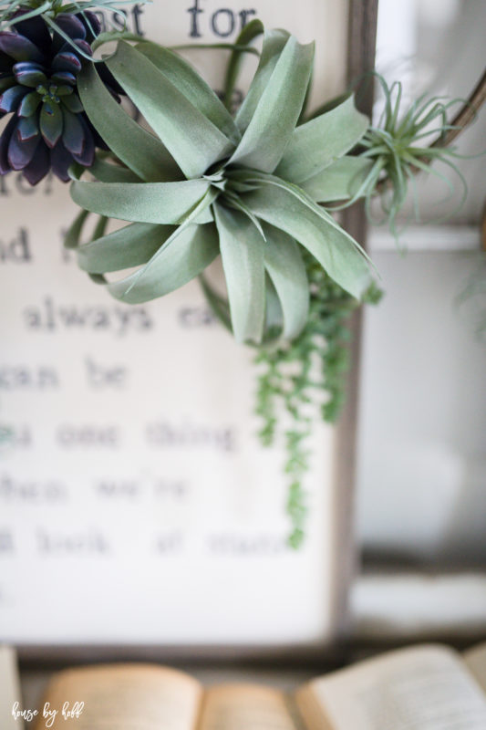 Up close picture of the green succulent.