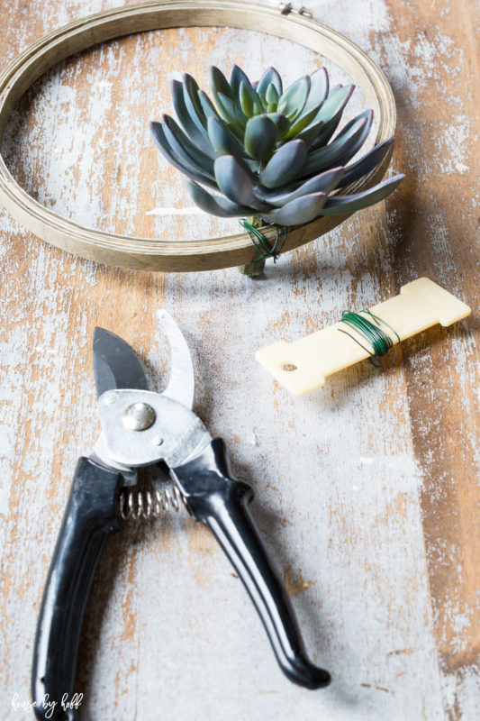 Attaching the succulent to the hoop wreath with some floral wire.