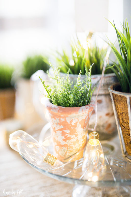 A little plant in a clay pot on the table.