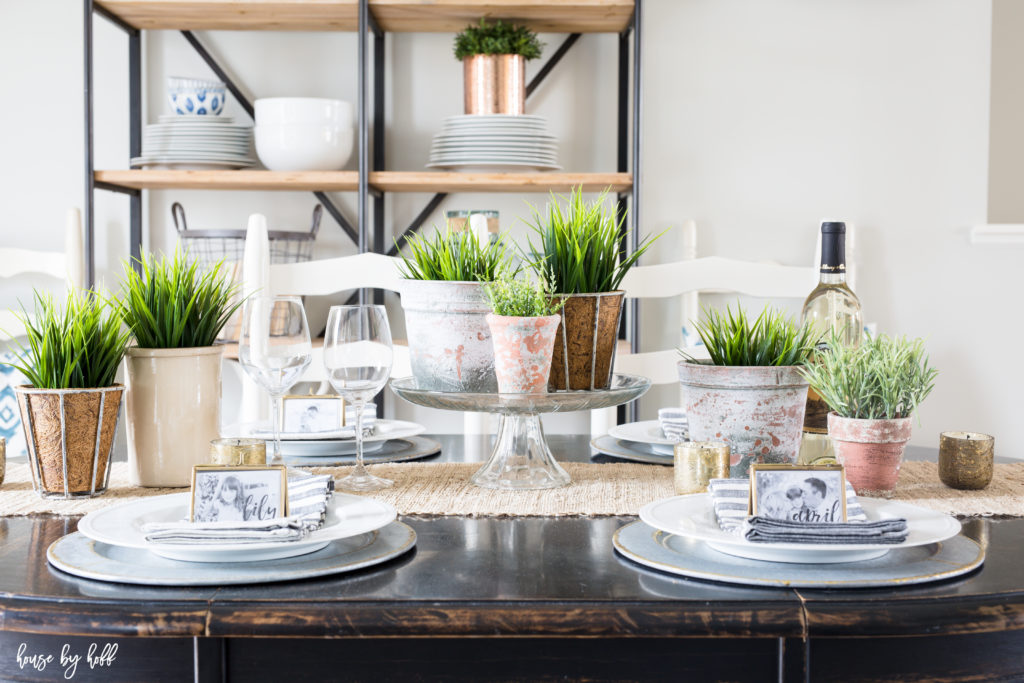 Fresh greenery in pots on the table.