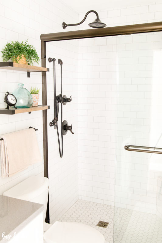 Glass shower door, brass shower accessories and a plant on the shelf.