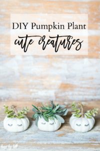 DIY Pumpkin Plant Cute Creatures