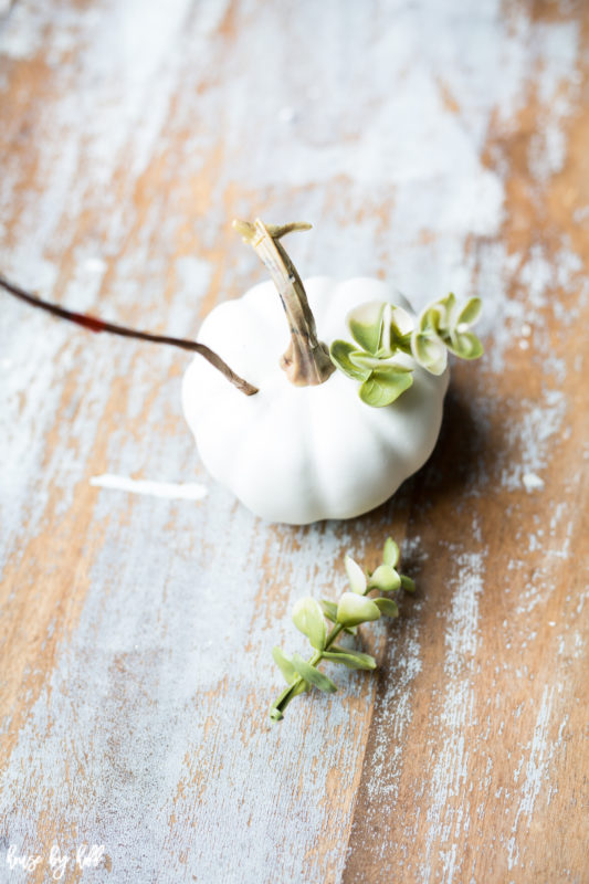 A mini white pumpkin with some eucalyptus leaves sticking out of it.