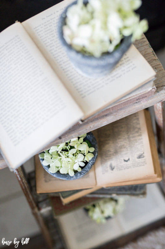 Opened antique books on side table with potted plants on them.