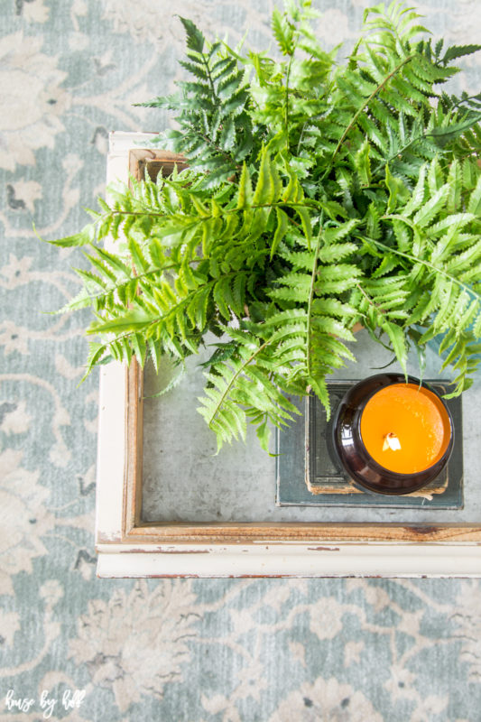 A small candle is sitting on books on the coffee table beside a fern.