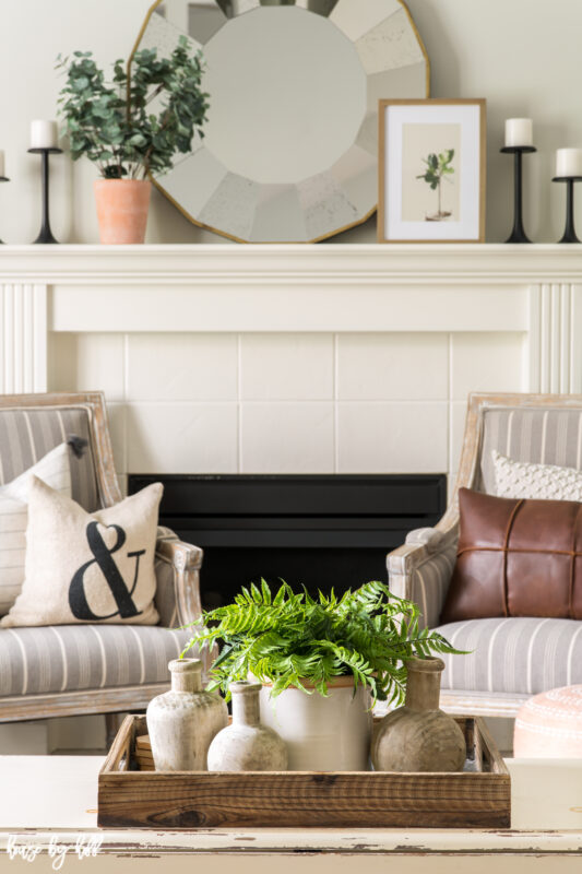 Coffee Table Vignette with Boston Fern and Wood Vases