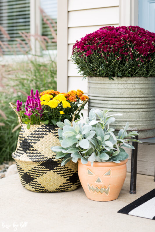 Fall Flowers and Plants in Seagrass Basket and Galvanized Planter.