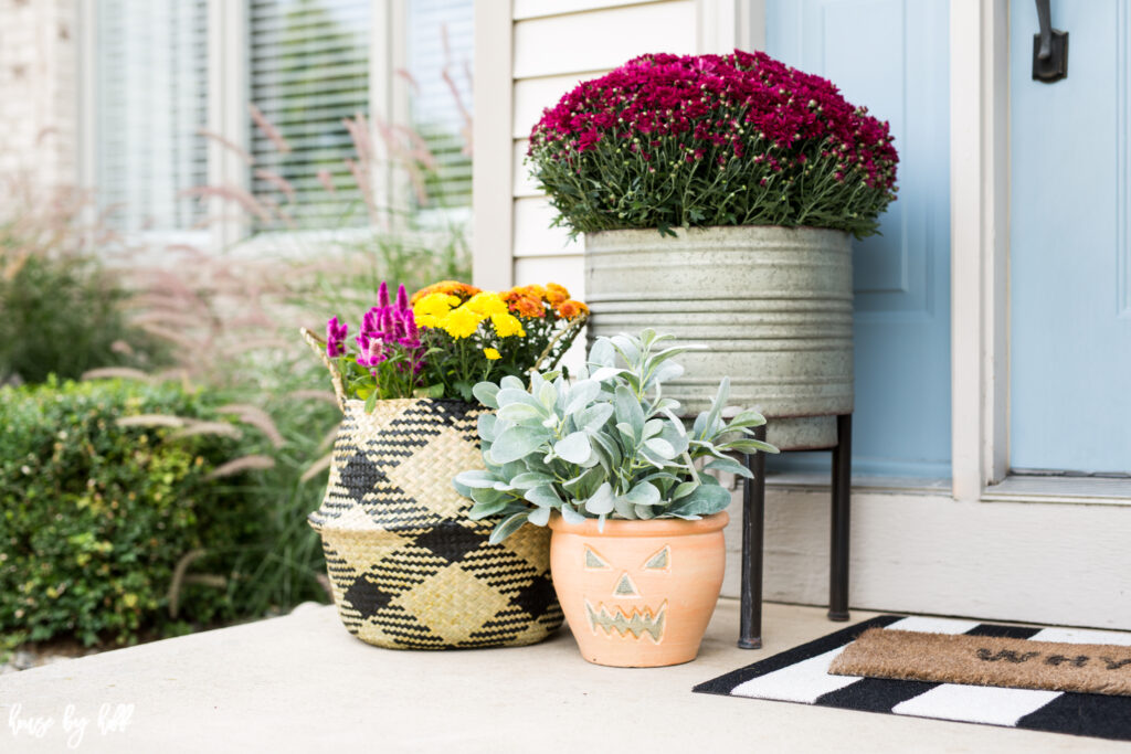 Purple, yellow flowers in buckets and baskets.