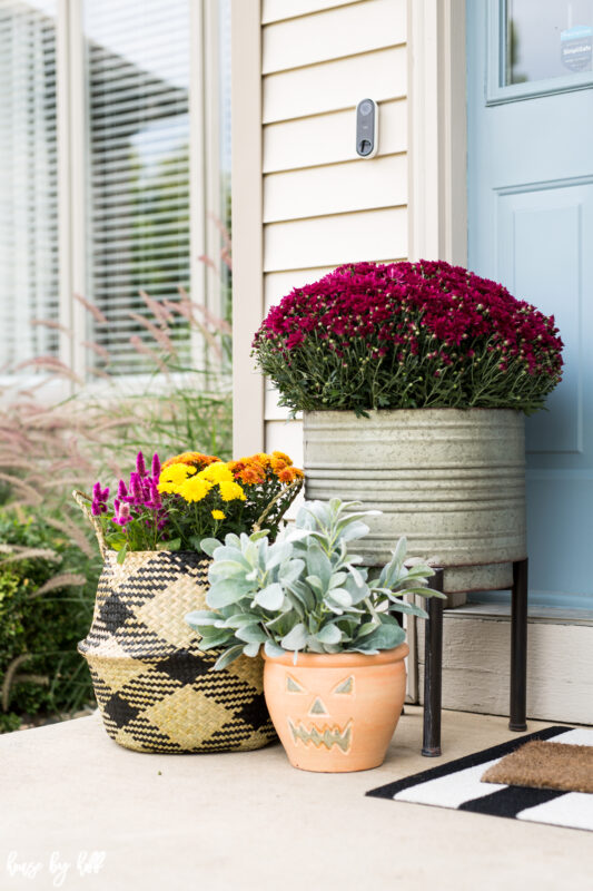 Front stoop decorated for fall with flowers and succulents.