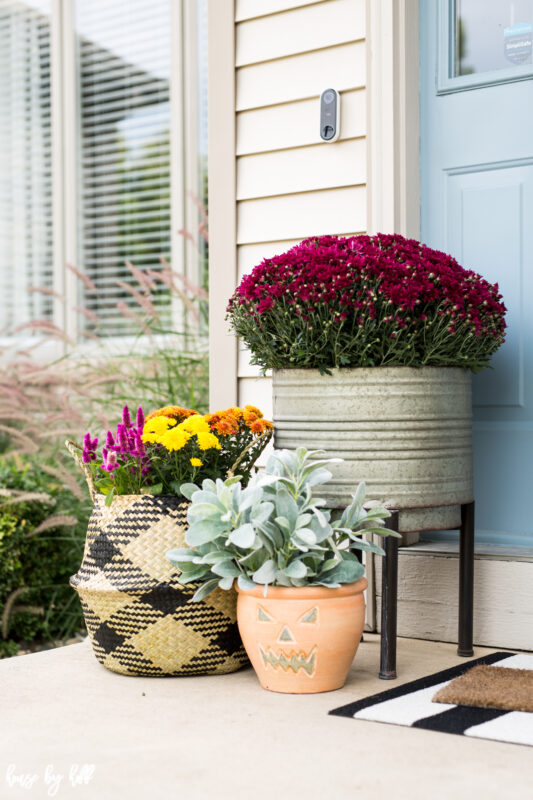 Front stoop decorated for fall with flowers and succulents.