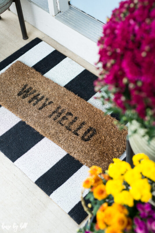 Layered Front Door Mats that say why hello!