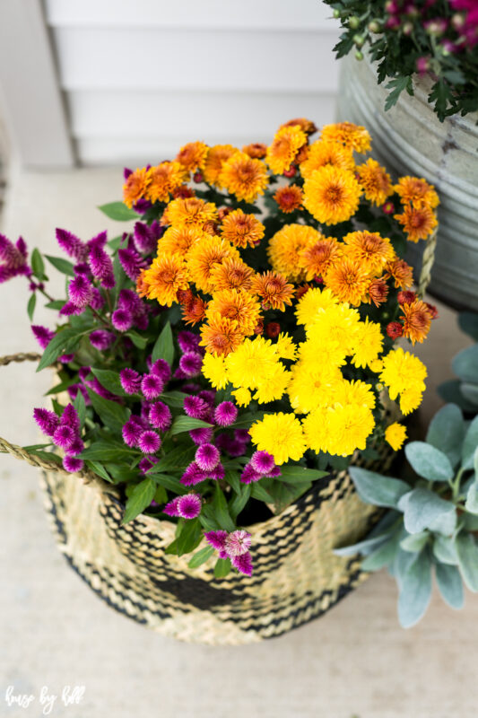 Colorful Fall Flowers in Basket in vibrant yellow and purple.