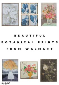 Beautiful Botanical Prints from Walmart