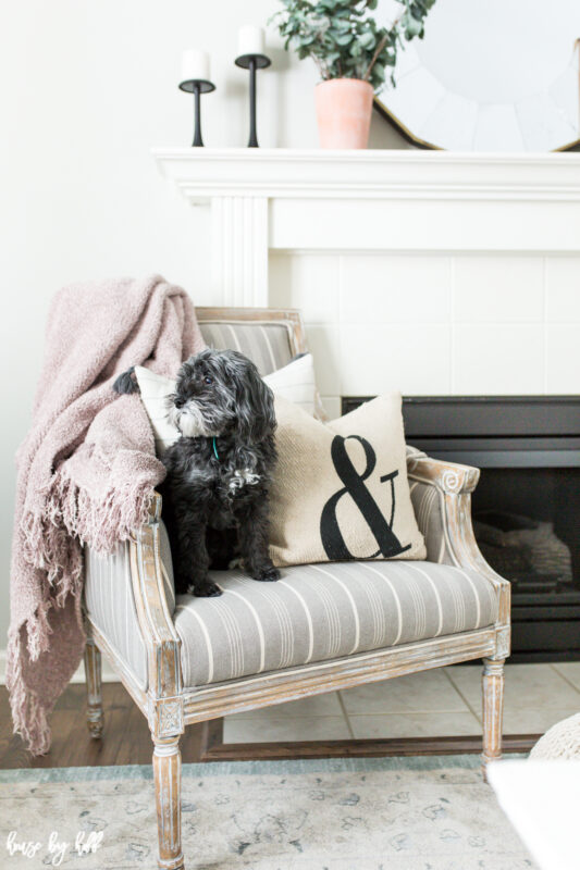 Gray French Armchair with Neutral Decor