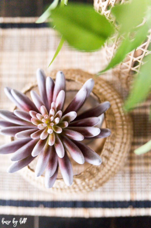 Succulent Spring Centerpiece