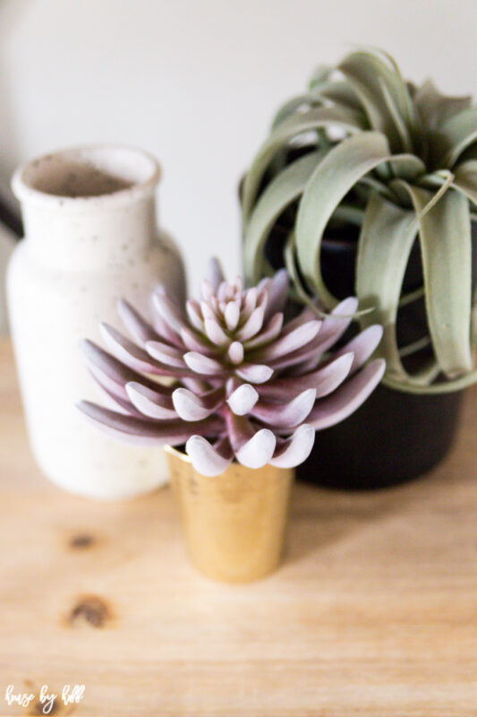 Open Shelves with Succulent Decor