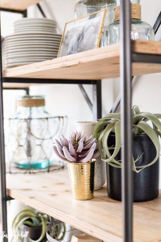 Open Shelves with Succulent Decor