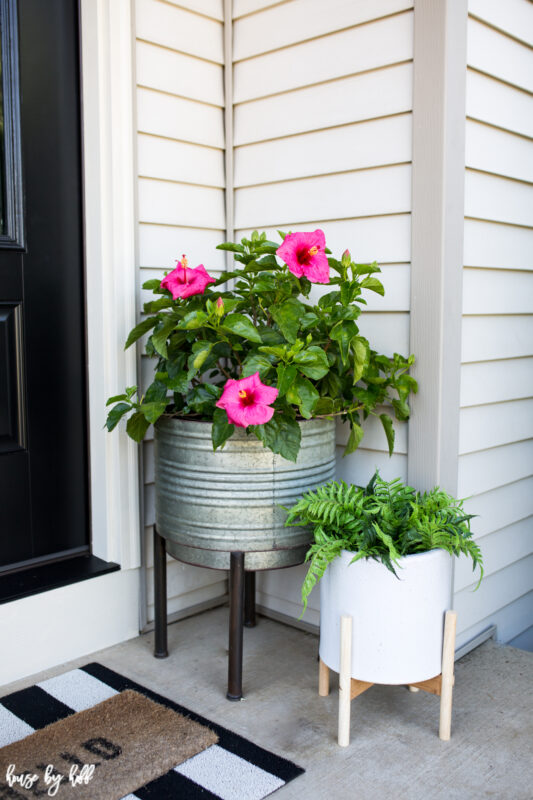 Pedestal Planters on Front Stoop