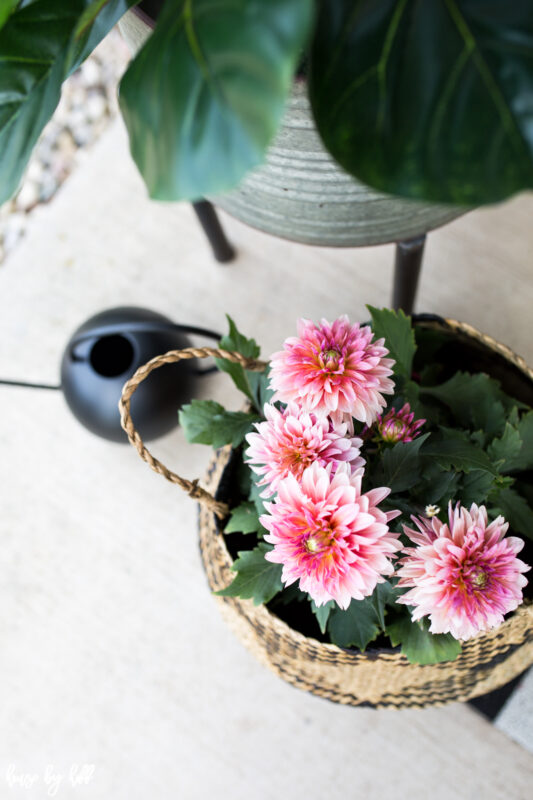 Summer Flowers in Basket