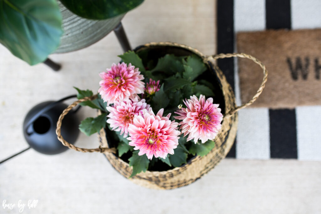 Pink Flowers in Basket with Striped Front Door Rug