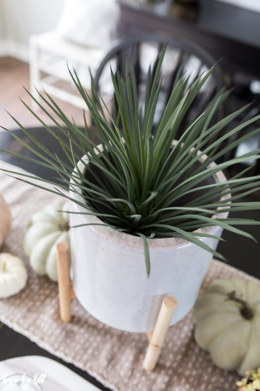 White footed planter on dining table with pumpkins