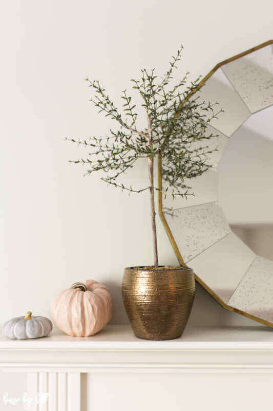 Thyme topiary in bronze pot on mantel with neutral pumpkins