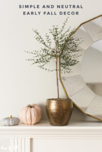 Simple and Neutral Early Fall Decor