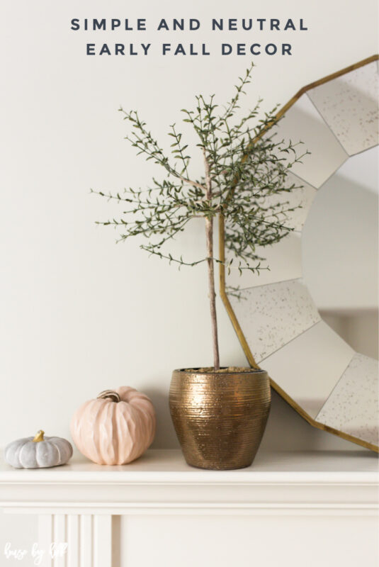 Simple and Neutral Fall Decor 