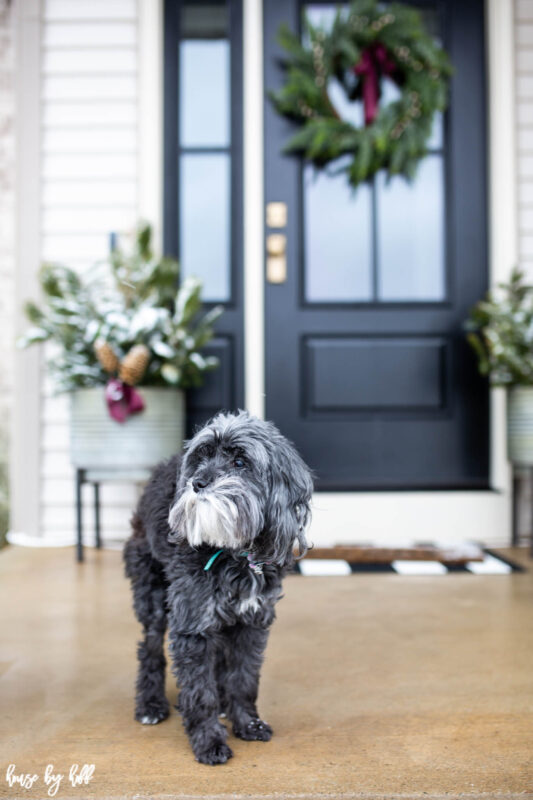 Front Stoop With Galvanized Planters and Black Front Door